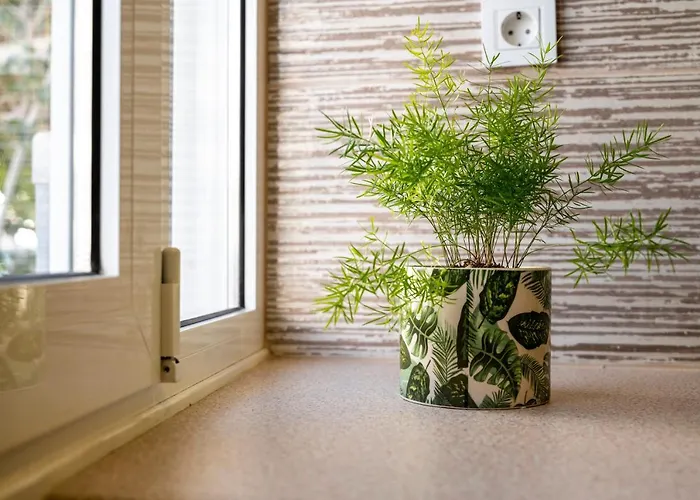 Spot Beach, Food & Coffee Nearby Lejlighed