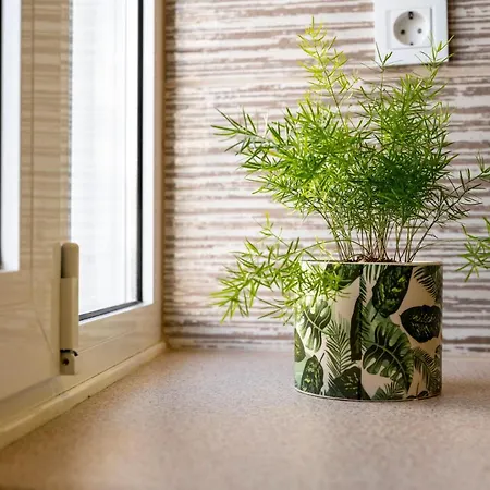 Spot Beach, Food & Coffee Nearby Apartamento